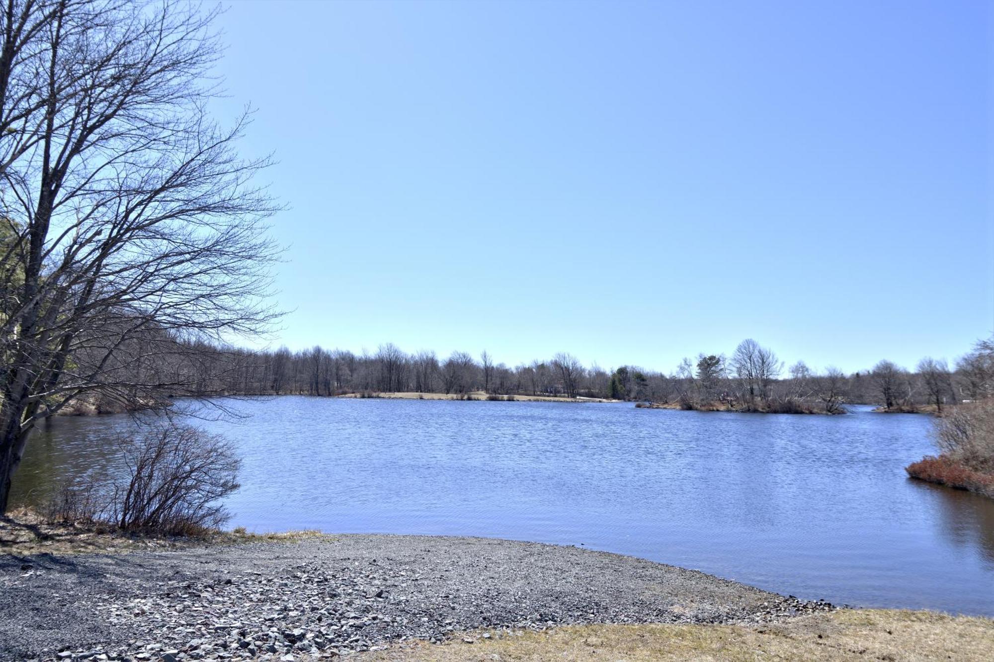 Lakehouse *Hottub*Jacuzzi*Firepit*Bbq*Pool Long Pond Экстерьер фото